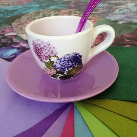 Le Ortensie Di Via Rossetti Bed & Breakfast