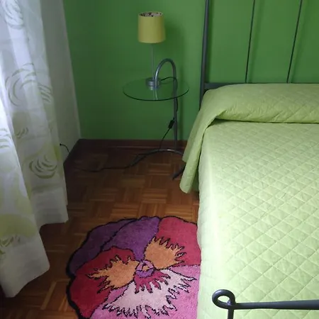 Le Ortensie Di Via Rossetti *