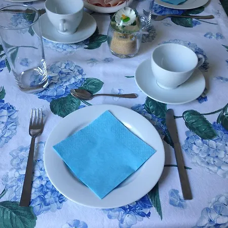 Le Ortensie Di Via Rossetti * Trieste