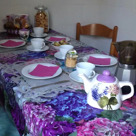 Le Ortensie Di Via Rossetti * Trieste