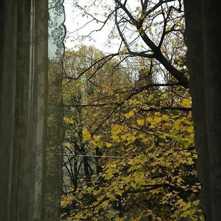 Le Ortensie Di Via Rossetti Couette-café *