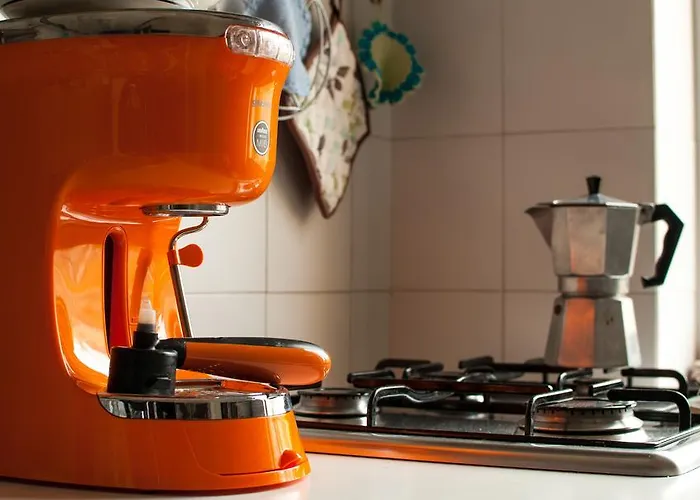 Le Ortensie Di Via Rossetti Triest