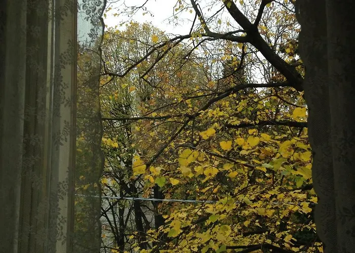 Le Ortensie Di Via Rossetti Nocleg ze śniadaniem *